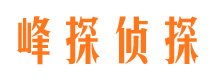 霞山背景调查